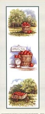 Framed Bushel of Apples Print