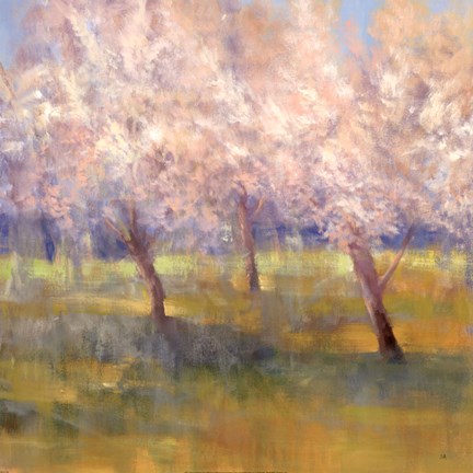 Framed Cherry Blossoms Print