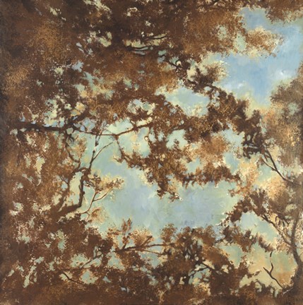 Framed Tree Canopy Print