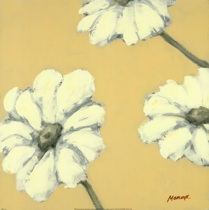 Framed Floral Cache IV Print