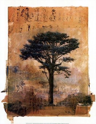 Framed Presidio Cypress Study #1 Print