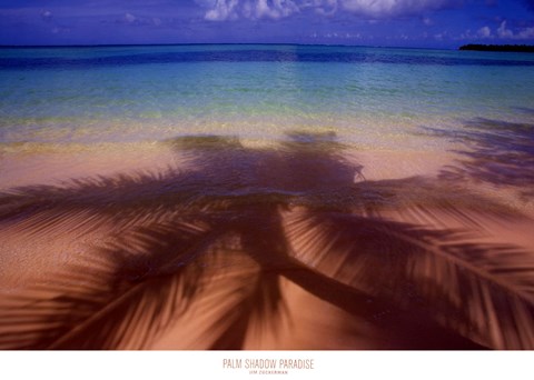 Framed Palm Shadow Paradise Print