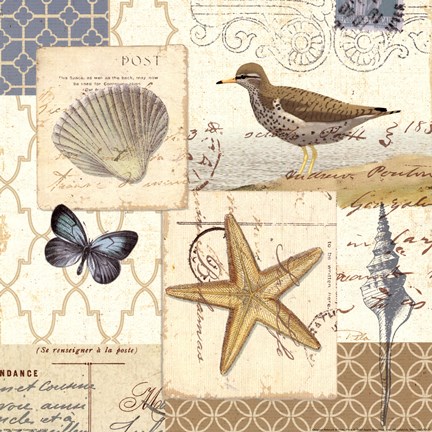 Framed Coastal Collage IV Print