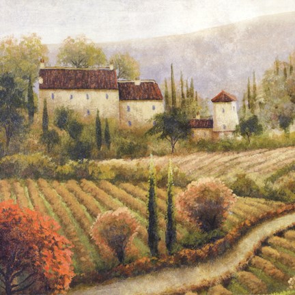 Framed Tuscany Vineyard I Print