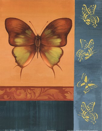 Framed Colorful Wings I Print