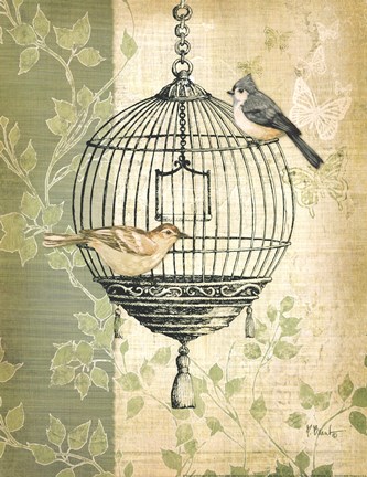 Framed Botanical Birdcage I Print