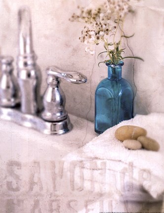 Framed Bath II Print