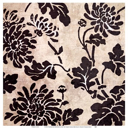 Framed Bella Nova III Print