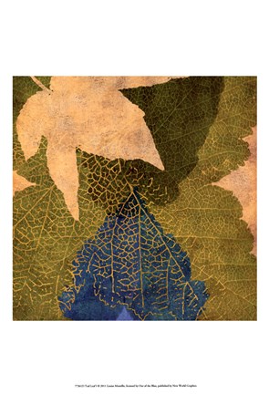 Framed Tea Leaf I Print