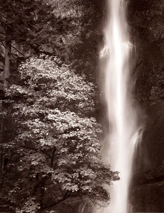 Framed Multnomah Falls Print