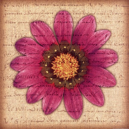 Framed Purple Gazania Print