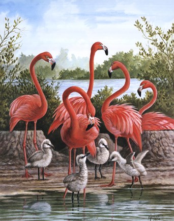 Framed Flamingo 1 Print