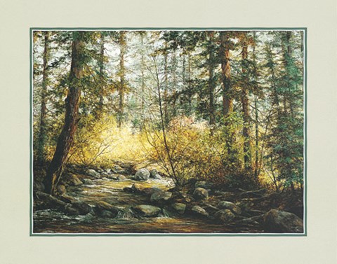 Framed Pat Durgin - Serene Woods Size 16x20 Print