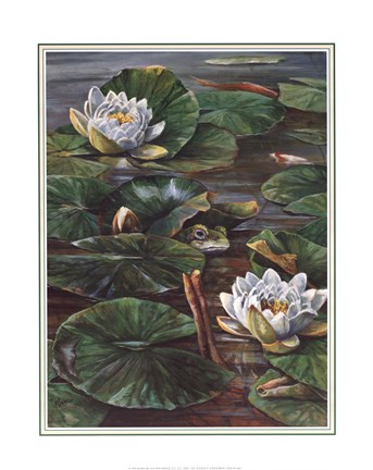 Framed Frog in Lily Pond Print