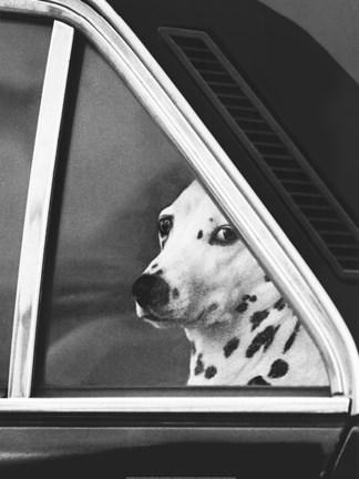 Framed Noblesse Oblige Print