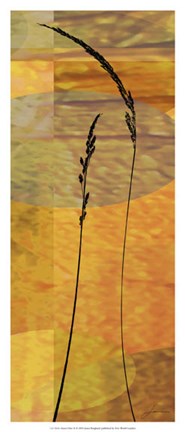 Framed Sunset Duet II Print