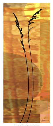 Framed Sunset Duet IV Print