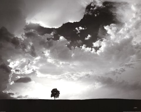 Framed Lone Tree Print