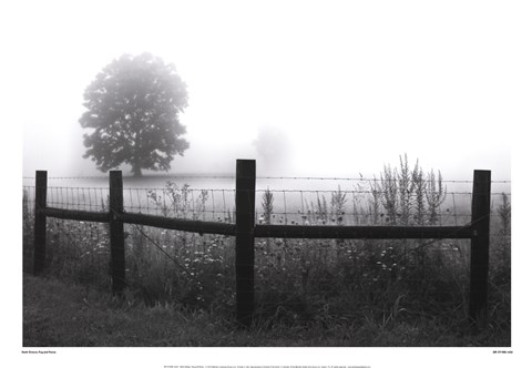 Framed Fog and Fence Print