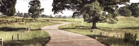 Framed Path to a Perfect Place Print