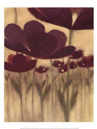 Framed Summer Bloom II Print