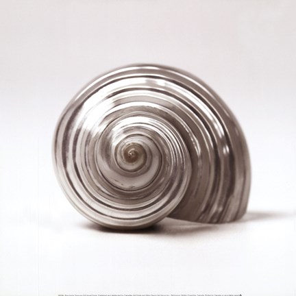 Framed Beachside Treasure II Print