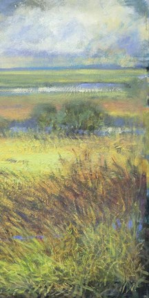 Framed Shimmering Marsh II Print