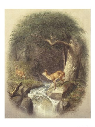 Framed Cautious Crossing Print