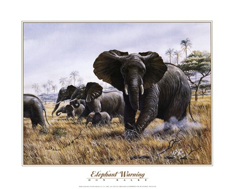 Framed Elephant Warning Print