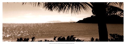 Framed After the Rains Print