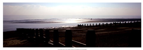 Framed Beach Study II Print