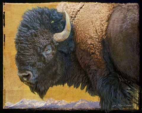 Framed Bison Portrait III Print