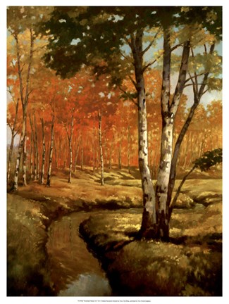 Framed Woodland Stream II Print