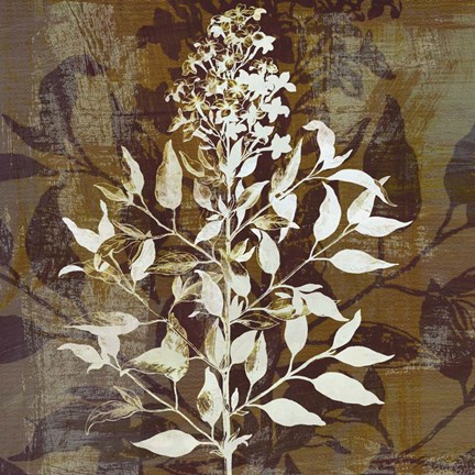 Framed Prairie Mix I Print