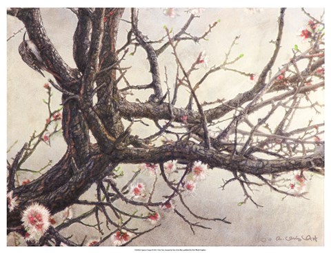 Framed Apricot Creeper Print