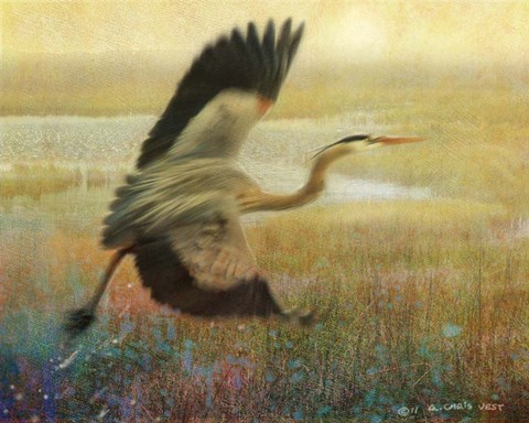 Framed Foggy Heron I Print