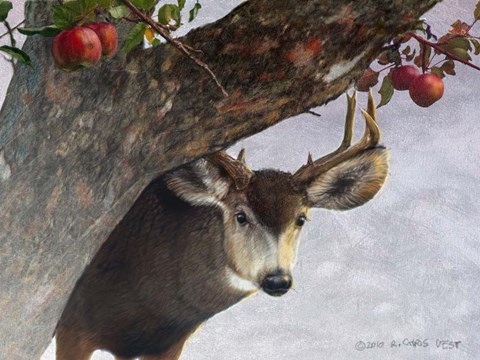 Framed Apple Deer Print