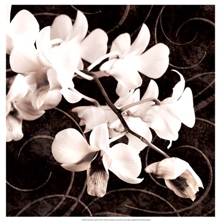 Framed Orchid &amp; Swirls II Print