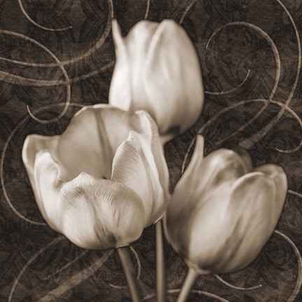Framed Tulip &amp; Swirls II Print