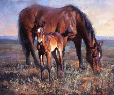 Framed Bay Filly Print