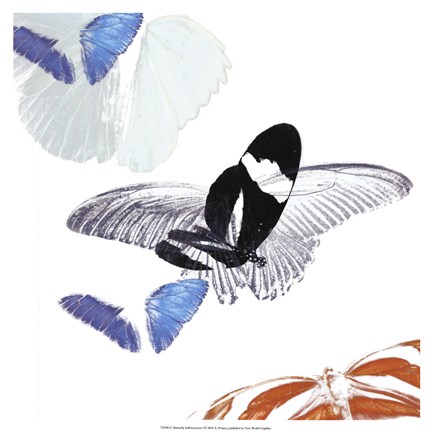 Framed Butterfly Inflorescence I Print