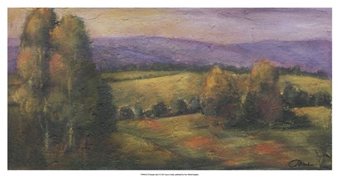 Framed El Dorado Lake I Print