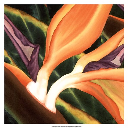 Framed Bird Of Paradise Tile III Print