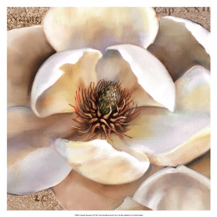Framed Magnolia Masterpiece II Print
