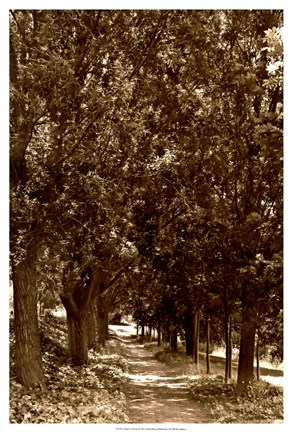 Framed Road to Giverny Print