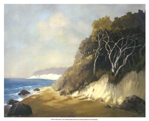 Framed Northern Shore I Print