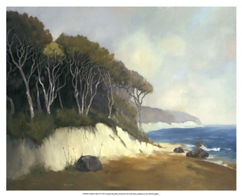 Framed Northern Shore II Print