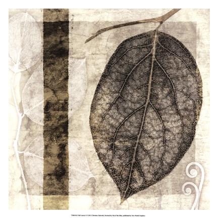 Framed Fall Leaves I Print