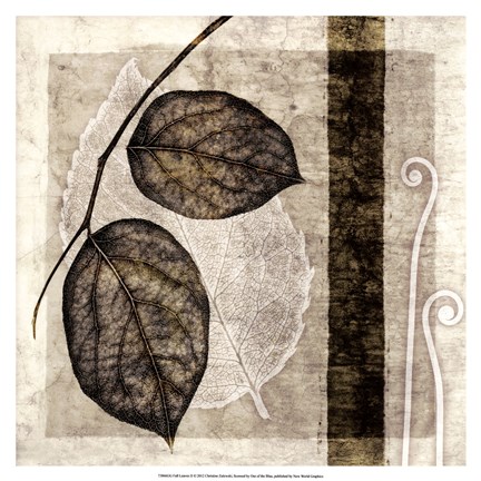 Framed Fall Leaves II Print