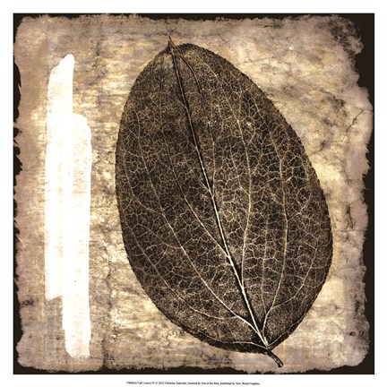 Framed Fall Leaves IV Print